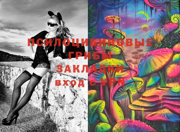 прущая мука Медвежьегорск