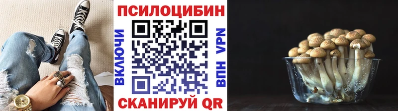 Купить  Мураши  Галлюциногенные грибы Psilocybine cubensis 